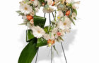 Flowers & Festivities