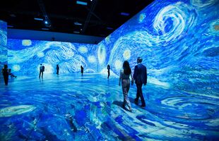 Van Gogh The Immersive Experience