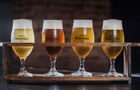 Domus Brauhaus