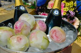 eden evenement locatie Breda eden evenement locatie Breda