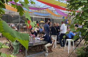 Verbeke Foundation