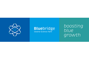 Bluebridge