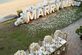 Full-Service Event Planner in Dubai and Beyond - Foto 14