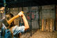Interactief bijlwerpen in Breda: projecties en 15+ digitale spellen - Foto 2